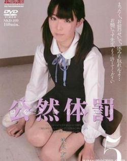 日本在线视频一页
